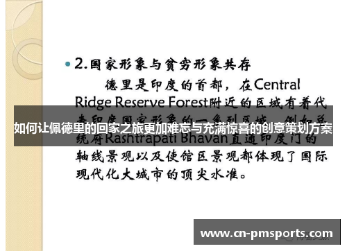 如何让佩德里的回家之旅更加难忘与充满惊喜的创意策划方案